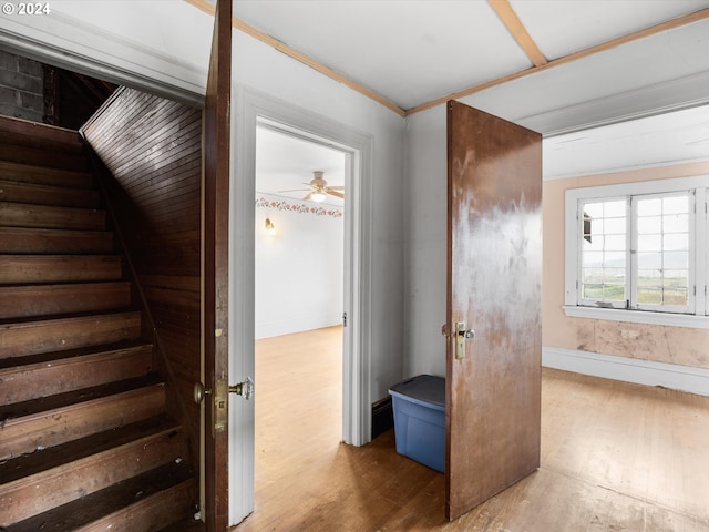 hall with hardwood / wood-style flooring