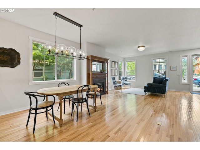 dining space featuring baseboards, light wood-style flooring, and a healthy amount of sunlight