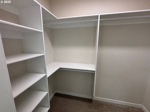 walk in closet with dark colored carpet