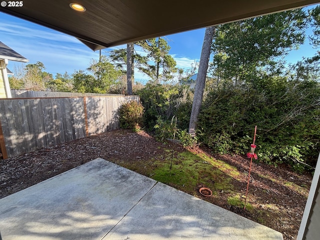 view of yard featuring a patio area