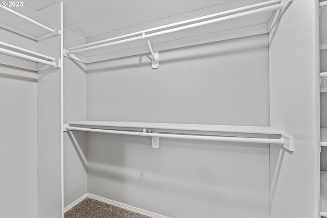 6902 SW Taylors Ferry Rd, Portland, OR 97223 - spacious closet with carpet floors