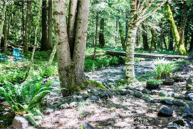 view of nature