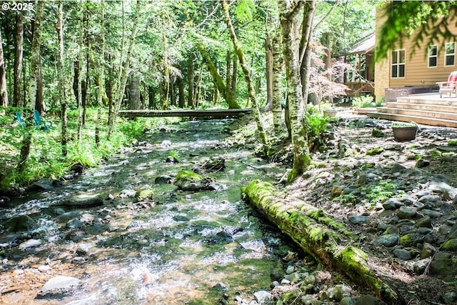 view of tree filled area
