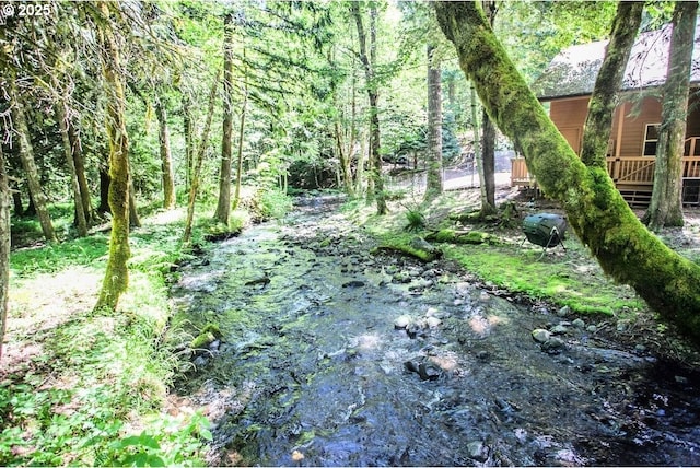view of yard with a wooded view and a wooden deck