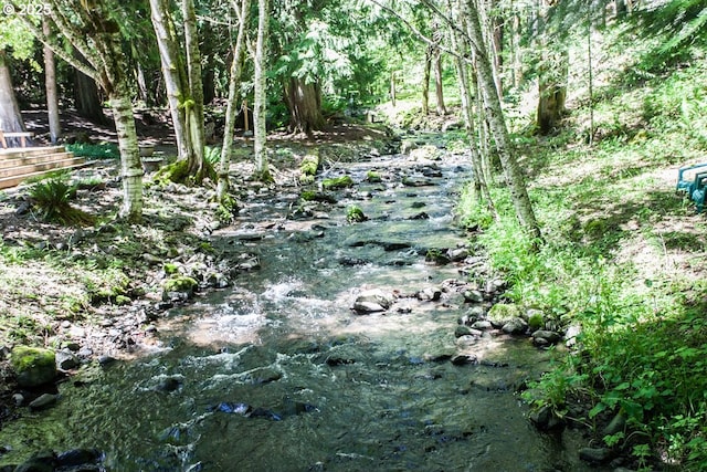 view of undeveloped land