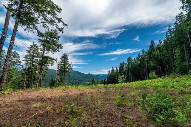 1281 Szydlo Rd, Carson, WA 98610