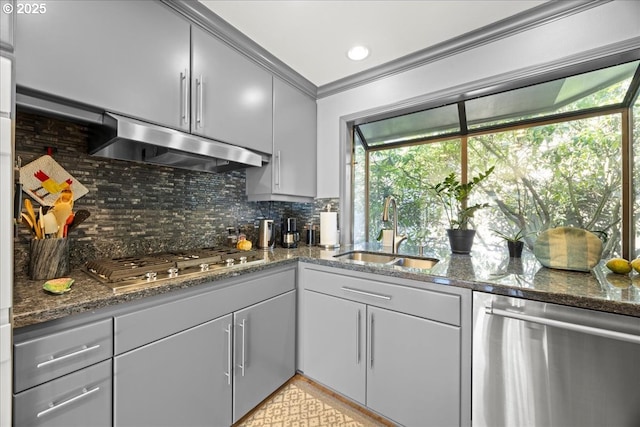 kitchen featuring backsplash, under cabinet range hood, ornamental molding, stainless steel appliances, and a sink