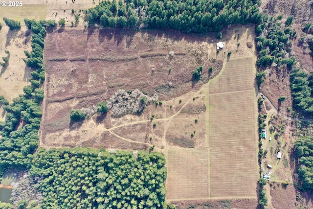 Bolton Hill Rd, Veneta, OR 97487