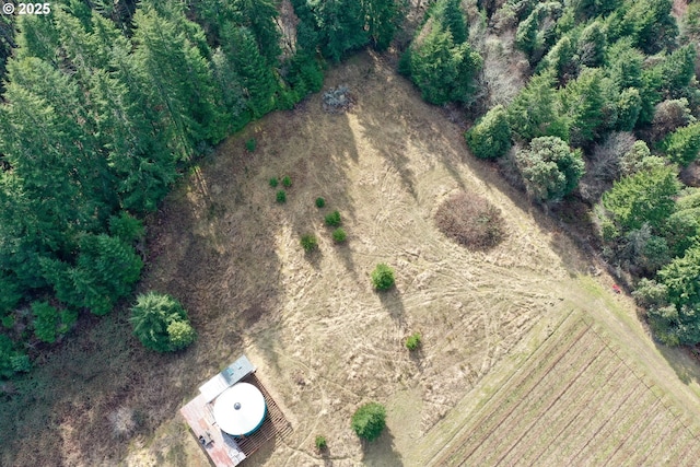 Bolton Hill Rd, Veneta, OR 97487