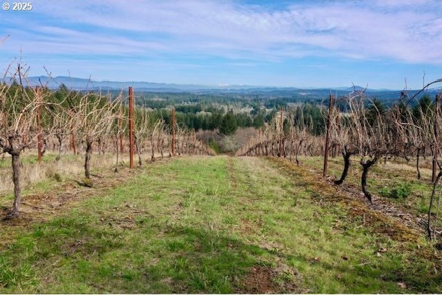 Bolton Hill Rd, Veneta, OR 97487