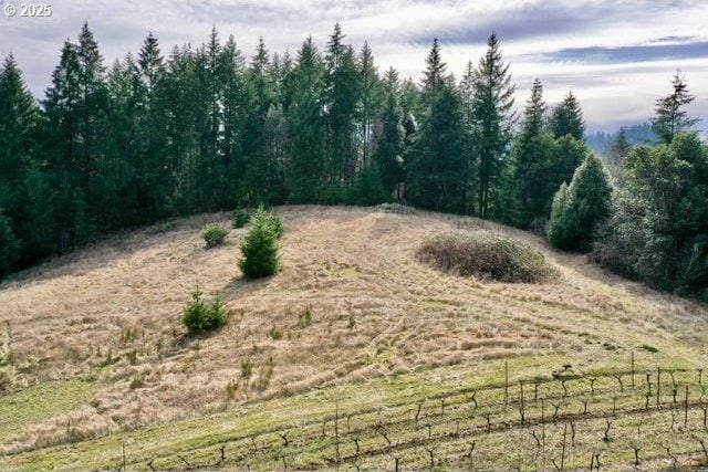 Bolton Hill Rd, Veneta, OR 97487