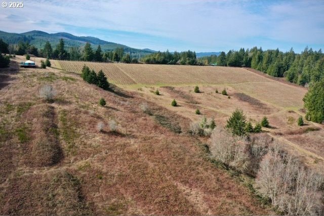 Bolton Hill Rd, Veneta, OR 97487