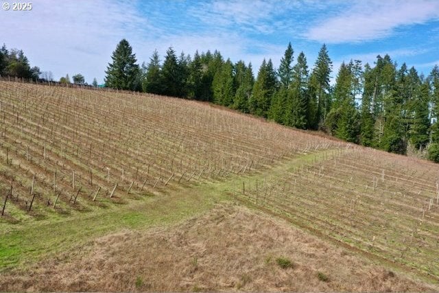 Bolton Hill Rd, Veneta, OR 97487