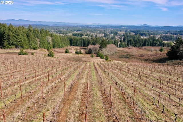 Bolton Hill Rd, Veneta, OR 97487