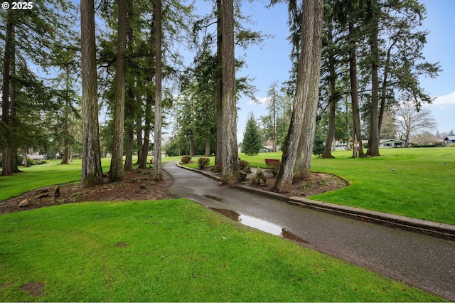 surrounding community featuring a lawn