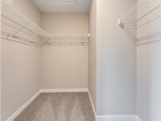 702 NW 178th Way, Ridgefield, WA 98642 - walk in closet with carpet floors