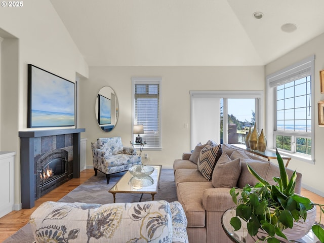 living room featuring high vaulted ceiling, wood finished floors, and a fireplace