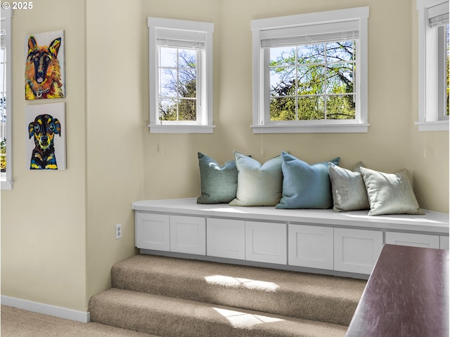 living area featuring baseboards and carpet