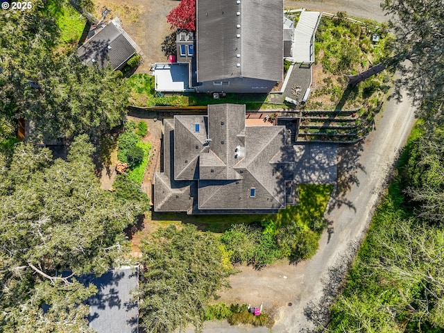 aerial view