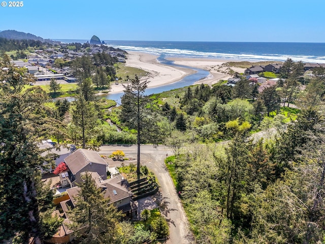 drone / aerial view featuring a water view and a view of the beach