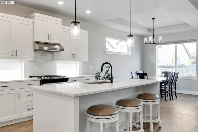 1332 SE 14th Ave, Canby, OR 97013 - kitchen featuring under cabinet range hood, a sink, light wood-style floors, recessed lighting, and tasteful backsplash