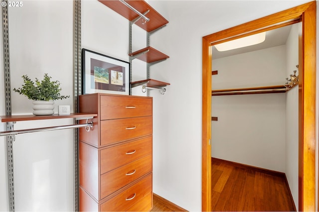 spacious closet featuring wood finished floors