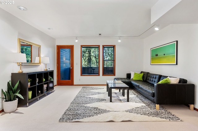 carpeted living room with a healthy amount of sunlight, baseboards, and rail lighting