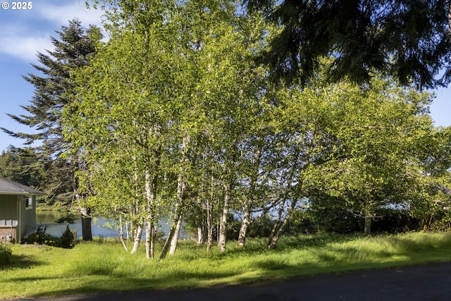 0 NE Lake Dr, Lincoln City, OR 97367