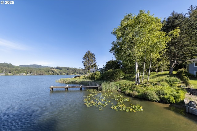 0 NE Lake Dr, Lincoln City, OR 97367