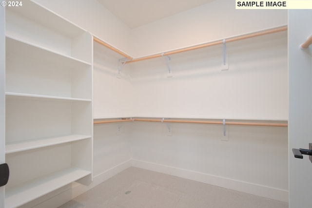 view of spacious closet