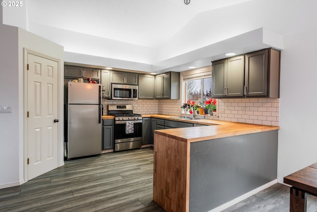 kitchen featuring lofted ceiling, wooden counters, dark hardwood / wood-style flooring, and stainless steel appliances