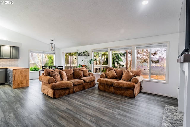 living room featuring lofted ceiling, dark wood-type flooring, and a textured ceiling