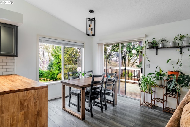 dining space featuring vaulted ceiling and dark hardwood / wood-style floors