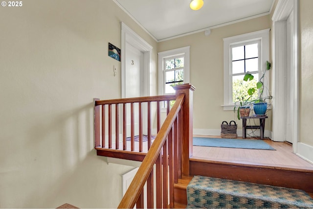 2066 NW Overton St, Portland, OR 97209 - staircase with crown molding and wood finished floors