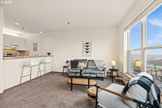 413 NW Uptown Ter Unit 2A, Portland, OR 97210 - living area with dark colored carpet and baseboards