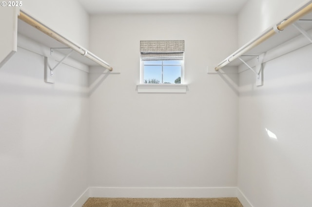 18315 SW Silvertip St, Beaverton, OR 97007 - spacious closet featuring carpet floors