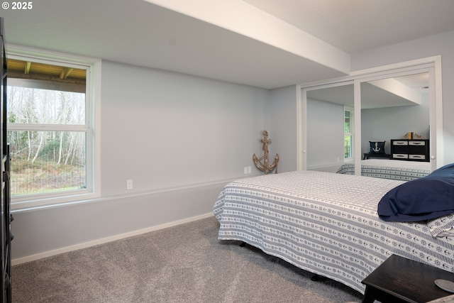 bedroom with a closet, carpet flooring, and baseboards