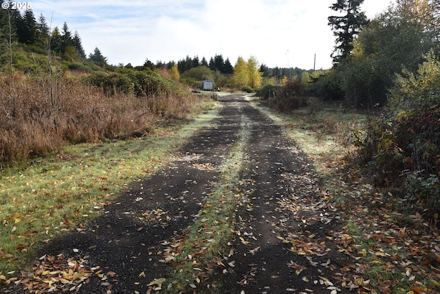8700 Steel Bridge Rd, Sheridan, OR 97378 - view of road