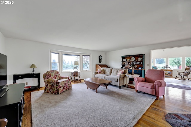 living area with plenty of natural light and wood finished floors