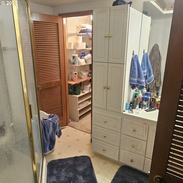 walk in closet featuring carpet floors