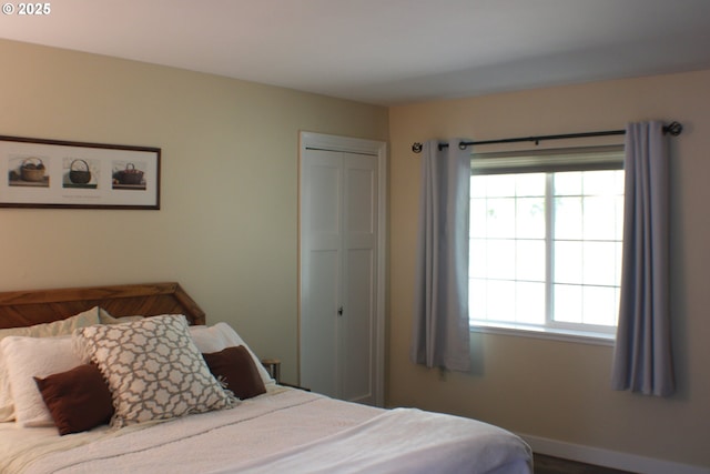 bedroom featuring multiple windows and a closet