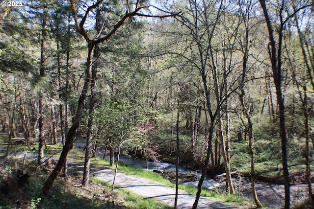 water view with a view of trees