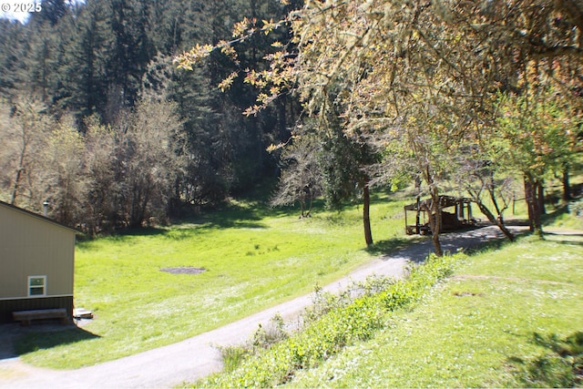 view of yard featuring a wooded view
