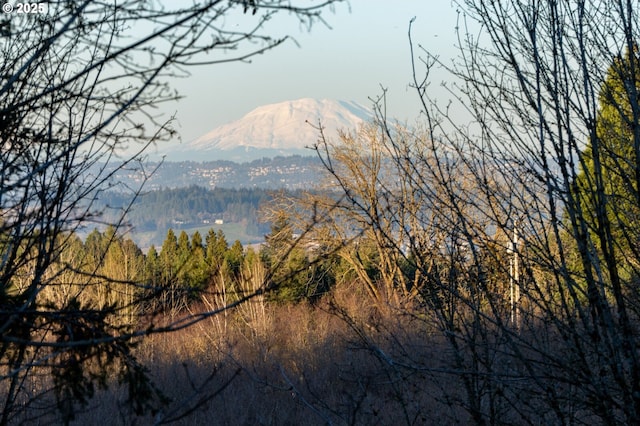 mountain view featuring a wooded view