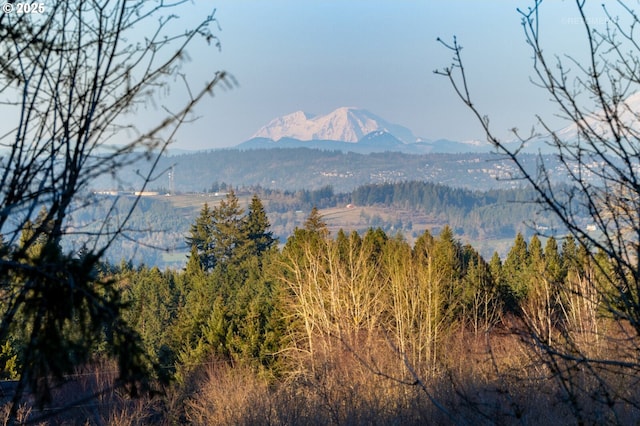 property view of mountains with a wooded view