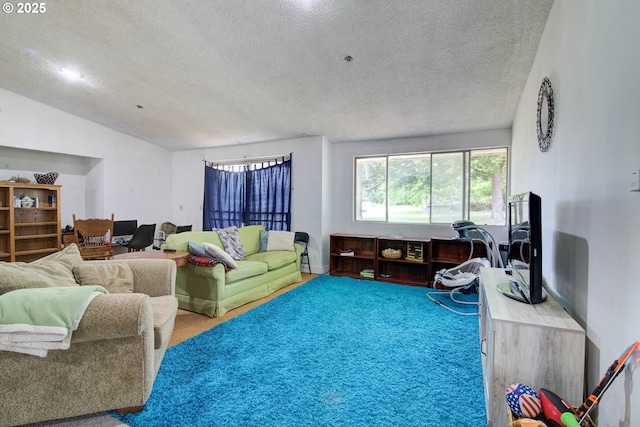 29882 S Hult Rd, Colton, OR 97017 - living room with a textured ceiling, vaulted ceiling, and carpet