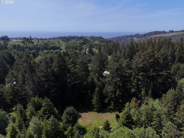 20452 Whaleshead Rd, Brookings, OR 97415
