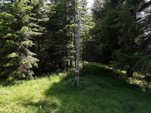 20452 Whaleshead Rd, Brookings, OR 97415