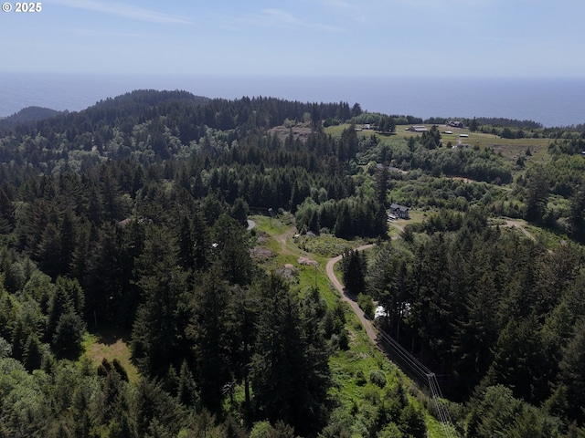 20452 Whaleshead Rd, Brookings, OR 97415