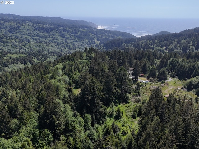 20452 Whaleshead Rd, Brookings, OR 97415